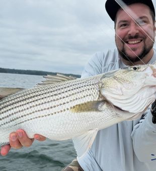 Clean Striper Catch! - Lake Lanier, Georgia.