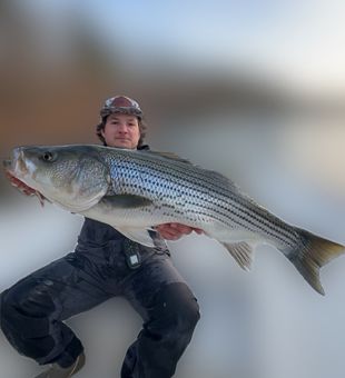 Trophy striped bass from Cumming GA waters!