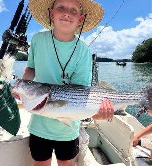 Big pulls from Georgia Striped Bass. Tight lines!