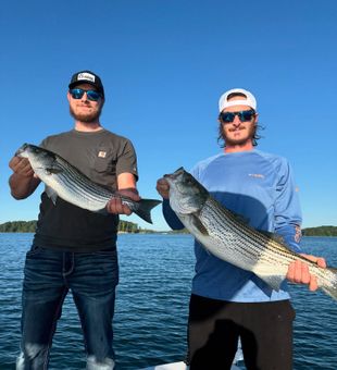 Reelin' in a Georgia Striper! What a fish.