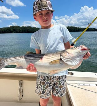 Lake Lanier Stripers are fired up. Fishing now.