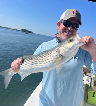 Boat wakes and striper takes