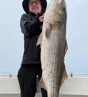 Fishing for striped giants on the Cape.