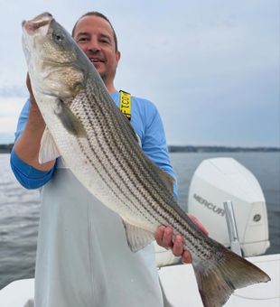 Cape Cod Striped Bass, pure adventure.