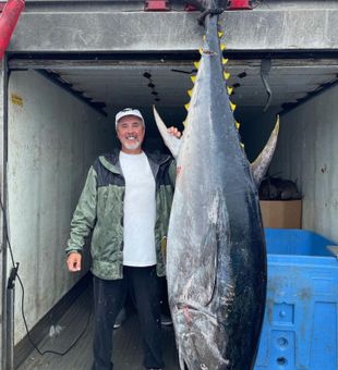 A Wicked Giant Cape Cod Bluefin Tuna