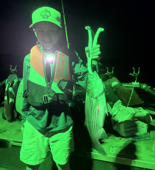 Beautiful Beaver Lake striped bass under the lights!