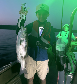 Beautiful Beaver Lake striped bass caught at night!