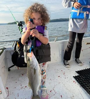 Beaver Lake bite is steady