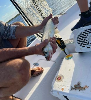 Proud angler showing off a New Smyrna Beach catch