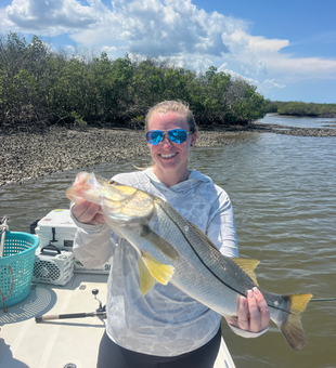 Beautiful New Smyrna Beach snook in the shallows!