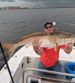 Large Redfish in Palm Valley, FL 