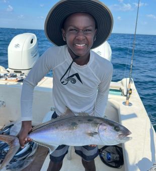 Bonito Fish in Pensacola, FL