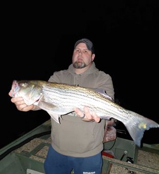 Beautiful striped bass from Forest Inn PA waters!