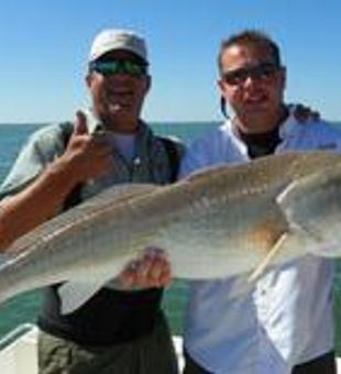 RedFish Delight in Bradenton