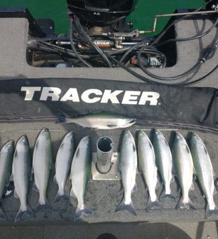 Salmon fishing in Lake Hattie Reservoir