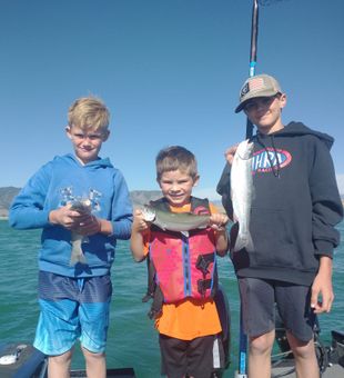 Wyoming guided fishing trips