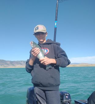 Wyoming fly fishing guide service