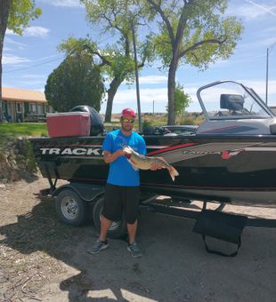 Walleye fishing