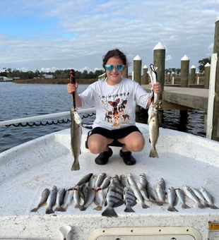 Gulf Shores speckled trout and black drum success!