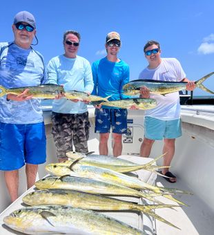 Discover the majestic Mahi Mahi in its ocean realm