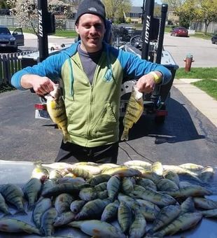 Thrilling Canada Fishing Trips Await, Yellow Perch