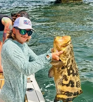 Monster goliath grouper from Matlacha FL waters!