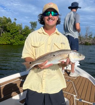 Beautiful Matlacha redfish making the day complete!