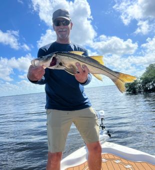 Beautiful Matlacha snook making the day complete!