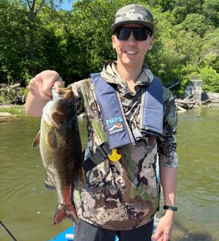 Big Potomac River Smallmouth Bass Catch