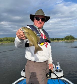 Strong Potomac River Smallmouth Bass Catch