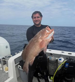 Beautiful red grouper caught in Ocala FL waters!