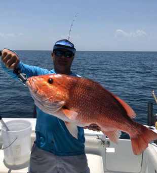 Big Bite on Light Gear in Jax