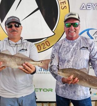 Reds are biting - Jacksonville Beach, FL.