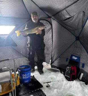 Walleye landed deep in the ice shack.