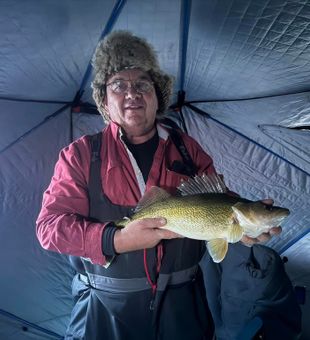 Walleye catch inside the Otter ice tent.