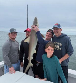 Massive shark catch!