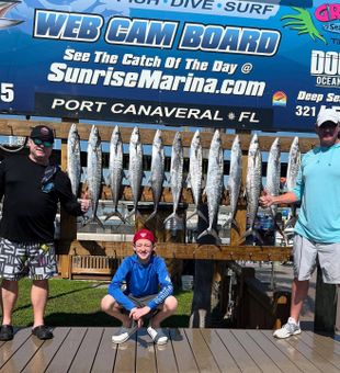 Great mackerel catch!