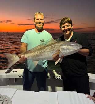 Stunning barracuda catch!