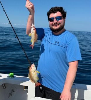 Beautiful snapper catch!