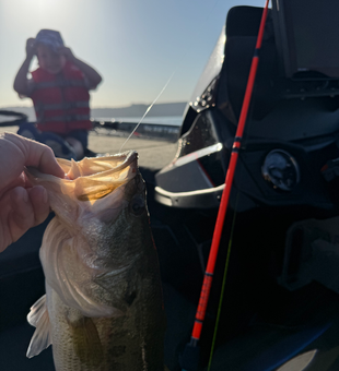 Nice bass caught at Lake Austin!