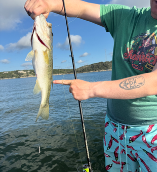 Fresh bass catch at Lake Austin!