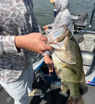 Trophy bass caught at Lake Austin!