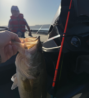 Great catch from the waters of Lake Austin!