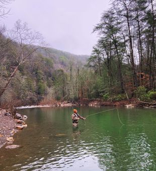 Peaceful fly fishing session! 🎣