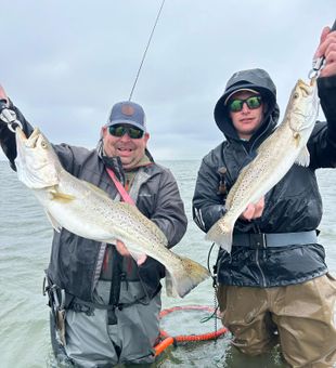 Impressive Speckled Trout haul!