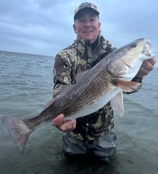Massive Redfish!