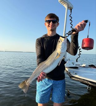 Impressive Speckled Trout catch – Florida fishing