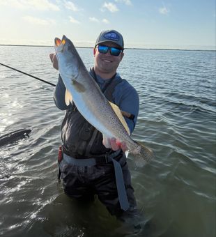 Impressive Speckled Trout catch 