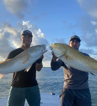 Enormous Red Fishes - Port O'Connor, TX.