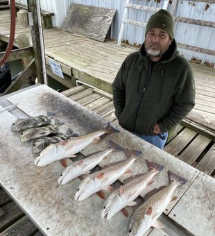 Decent Haul for the day - Port O'Connor, TX.